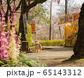 主人を待つ犬 65143312
