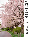 桜並木 65143827