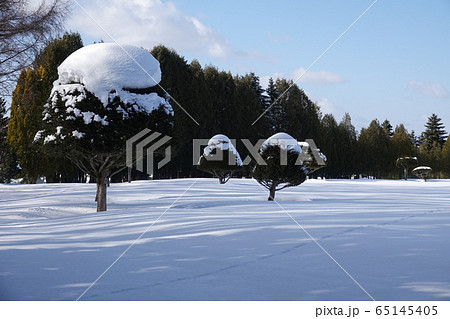 里塚の風景 65145405