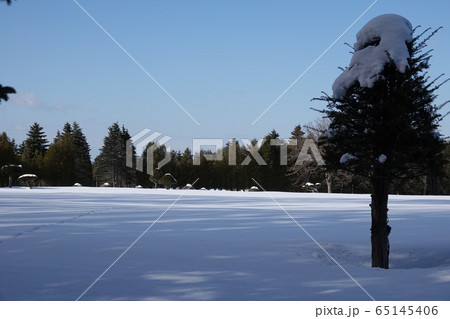 里塚の風景 65145406
