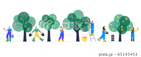 Garden work concept vector  Garden work concept vector  65145453