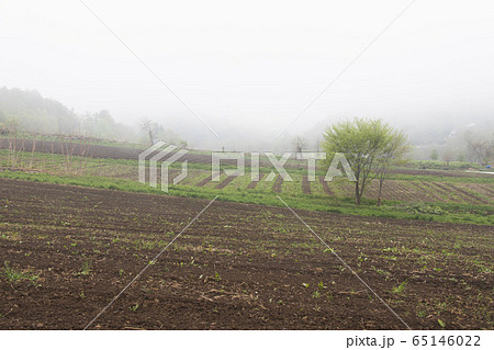 霧の農地 65146022