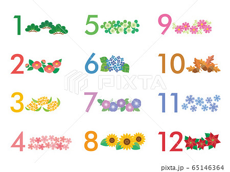 花 季節の花 １２ヵ月の花 カレンダー イラストのイラスト素材