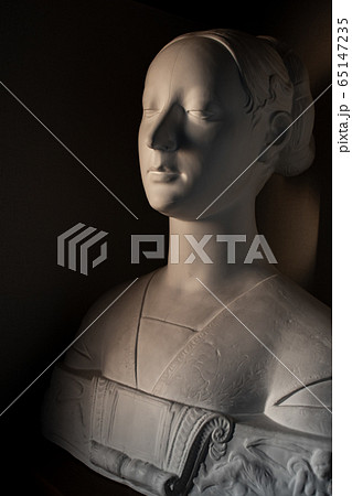 石膏像 マリエッタストロッチ胸像の写真素材 [65147235] - PIXTA