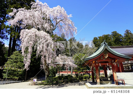 塩釜神社（志波彦神社） 65148308