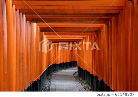 伏見稲荷大社の鳥居 65148507