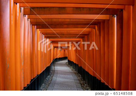 伏見稲荷大社の鳥居 伏見稲荷大社の鳥居 65148508