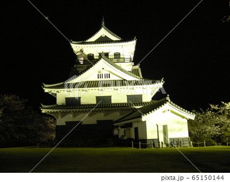 館山城(ライトアップ) 館山城(ライトアップ) 65150144