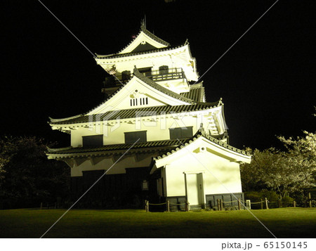 館山城(ライトアップ) 館山城(ライトアップ) 65150145