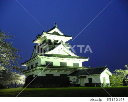 館山城(ライトアップ) 館山城(ライトアップ) 65150163