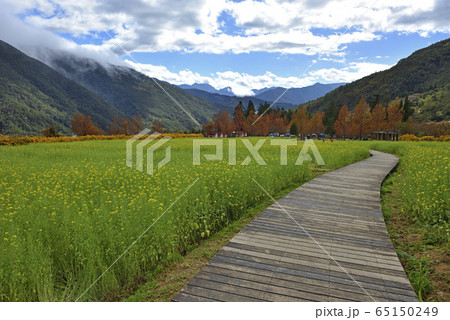 武陵農場 台湾 秋の季節 65150249