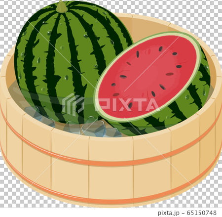 Vector illustration of watermelon chilled in a tub 65150748