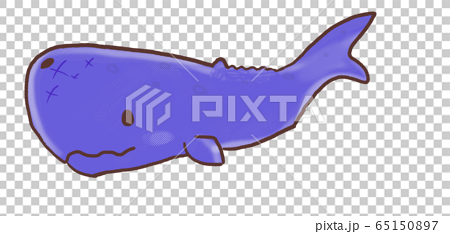 R メルヘンなかわいいマッコウクジラ Bのイラスト素材