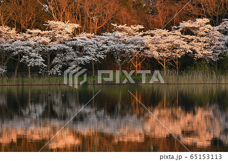 春の平筒沼 65153113