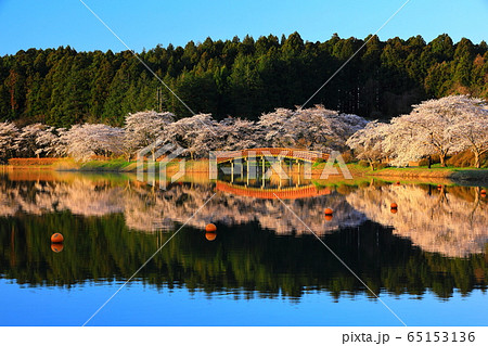 春の平筒沼 65153136