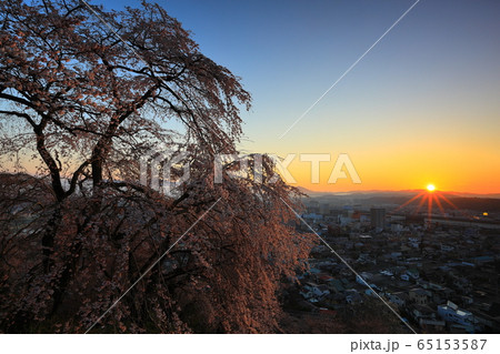 春の釣山公園 65153587
