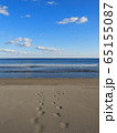 浜辺の足跡 65155087