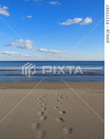 浜辺の足跡 浜辺の足跡 65155087