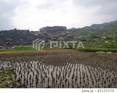 中国 貴州省 西江 中国 貴州省 西江 65155579