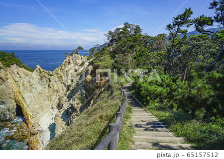 西伊豆　黄金崎の馬ロック 65157512