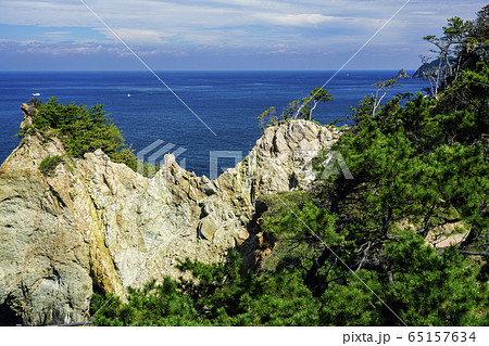 西伊豆　黄金崎の馬ロック 65157634