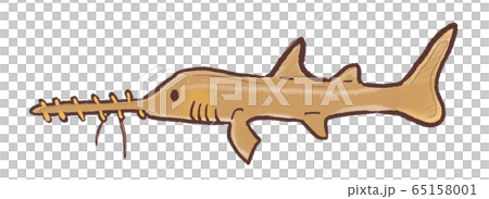 R:メルヘンなかわいいノコギリザメC 65158001