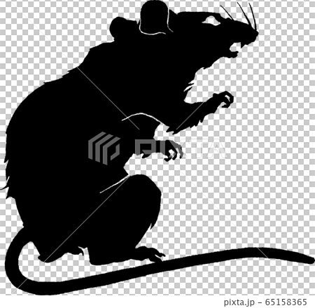 Creepy rat / Standing up Creepy rat / Standing up 65158365