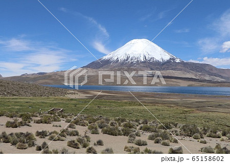 チリ　パリナコッタ山 65158602