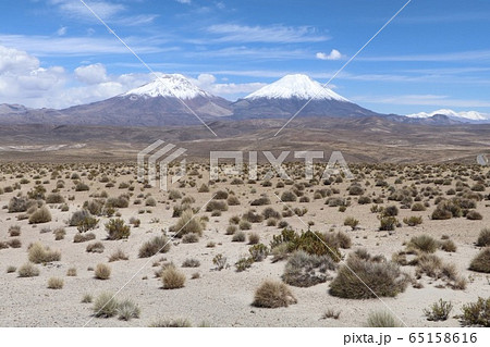 チリ パリナコッタ山 チリ パリナコッタ山 65158616