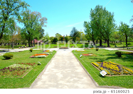 駿府城公園の風景 65160025