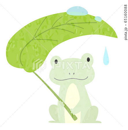 葉っぱの傘を持ったカエルのイラストのイラスト素材
