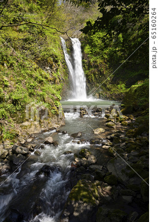 五太子の滝（福井県福井市） 65160264