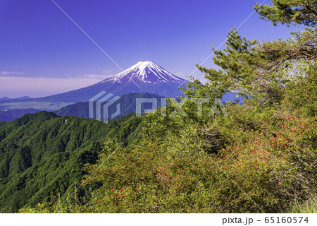 （山梨県）山ツツジ咲く、白谷丸から望む富士山 65160574
