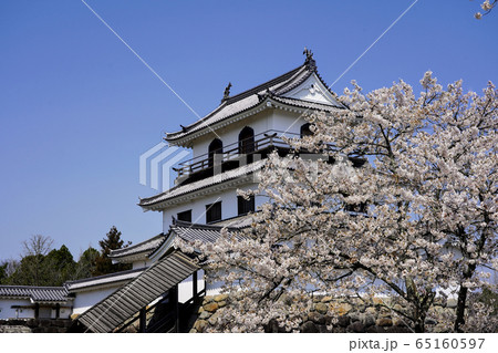 春の白石城 65160597