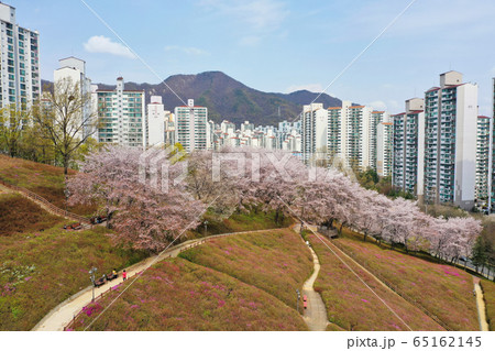 桜 4月 アパート 65162145