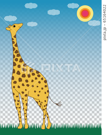Giraffe in the meadow against the blue sky Giraffe in the meadow against the blue sky 65164022
