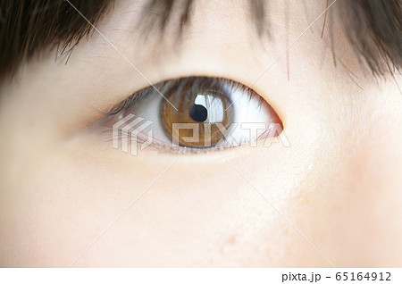 眼のアップ 眼のアップ 65164912