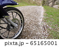 バイクツーリング_桜 65165001
