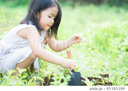 A child playing in the garden A child playing in the garden 65165190