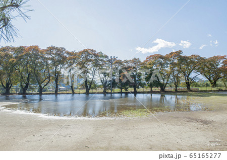 秋の校庭の水溜まり 秋の校庭の水溜まり 65165277