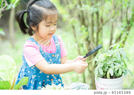 A child playing in the garden 65165389