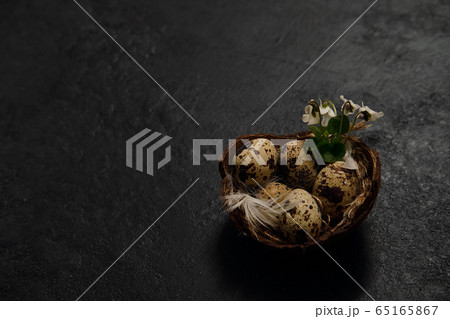 eggs in the nest and green leaves on a black background. Concept eggs in the nest and green leaves on a black background. Concept 65165867
