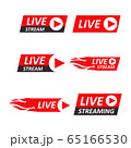 Live Stream signs set. Emblem, logo. 65166530