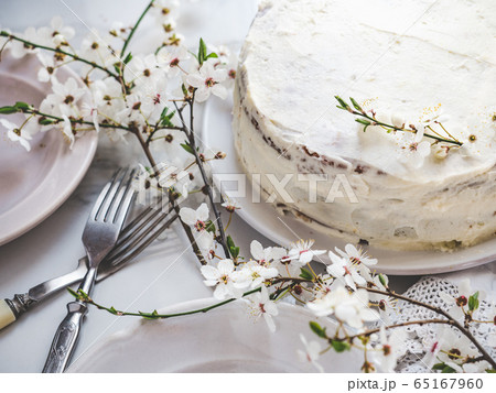 Flowering tree and fresh, homemade cake. Close-up Flowering tree and fresh, homemade cake. Close-up 65167960