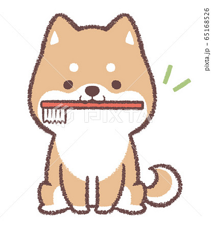歯ブラシ柴犬のイラスト素材