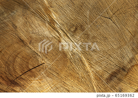 Log surface structure. Stumps and logs.  65169362