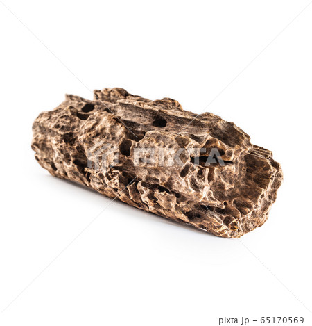 Mangrove root to the aquarium isolated on white 65170569
