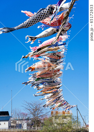 鯉のぼり 65172633