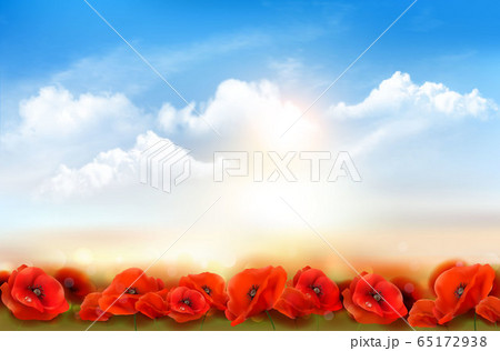 Sunset sky background with Red Poppy flowers. Sunset sky background with Red Poppy flowers. 65172938