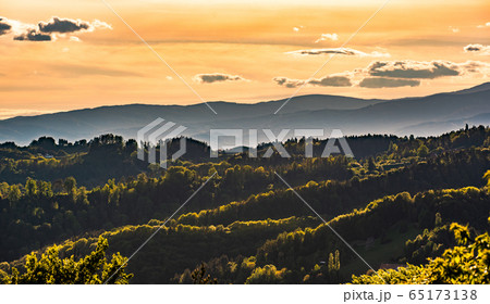South styria vineyards landscape, near Gamlitz, 65173138